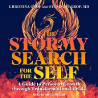 The_Stormy_Search_for_the_Self